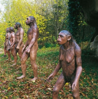  L'evoluzione davanti ai tuoi occhi 